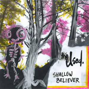 Shallow Believer album