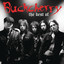 The Best of Buckcherry cover