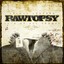 Rawtopsy Albumcover