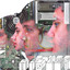 I-VII Albumcover