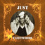 Just Fleetwoods cover