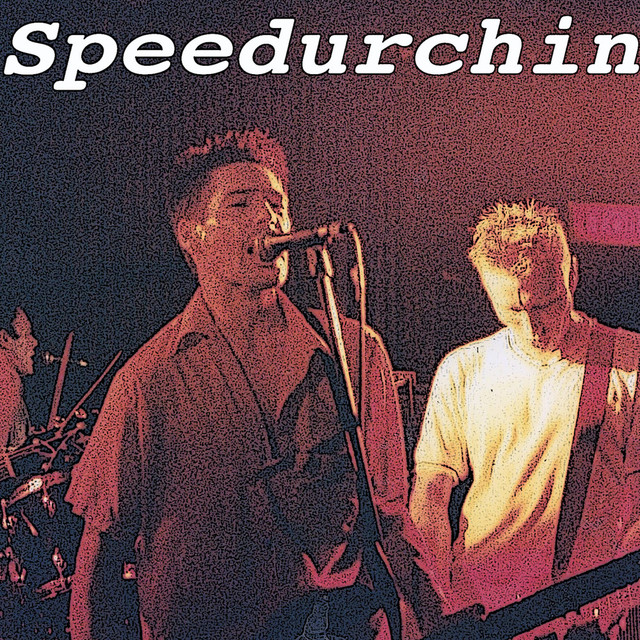 Speedurchin Photo
