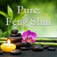 Pure: Feng Shui Albumcover