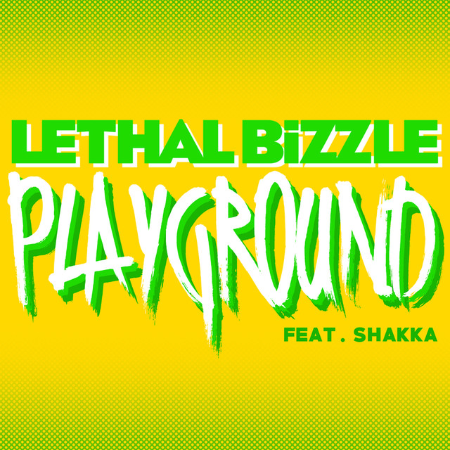 Playground cover
