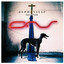 Salvation cover