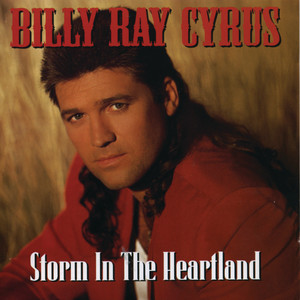 Storm in the Heartland cover