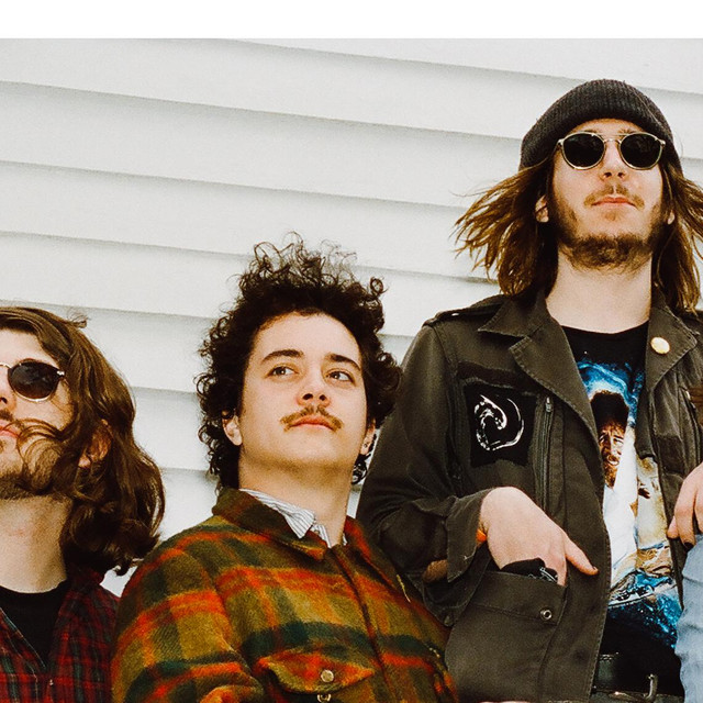 Musik Artist The Districts