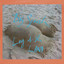 Lay Of The Land Albumcover