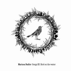 Song 3: Bird On The Water cover