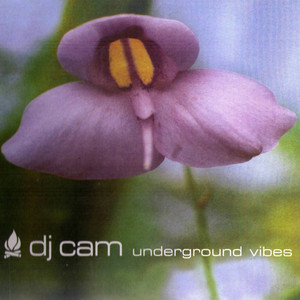 Underground Vibes album