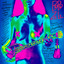 XX cover