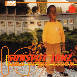 Child of the Storm cover