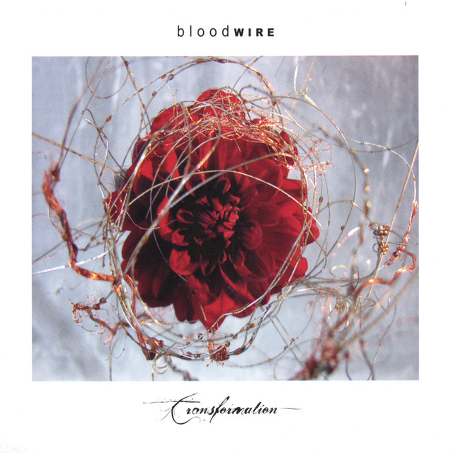 bloodWIRE Photo