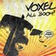 Voxel