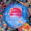 Sense cover