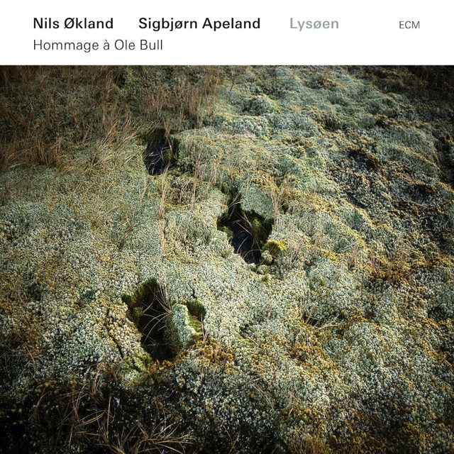 Sigbjørn Apeland Photo
