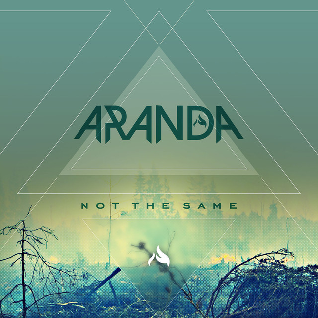 Not The Same cover