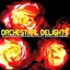 Orchestral Delights Albumcover