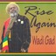 Rise Again Albumcover