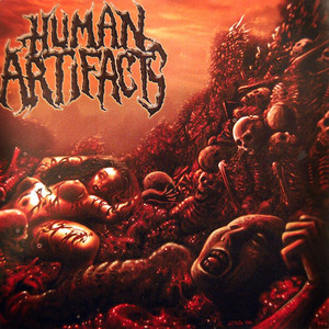 Human Artifacts Photo