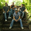 The Bugs Albumcover