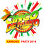 Cinco de Mayo Karaoke Party 2014 Albumcover