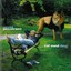 Tid Med Deg Albumcover