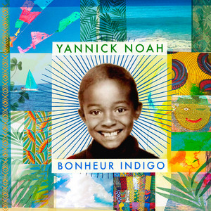 Bonheur indigo cover