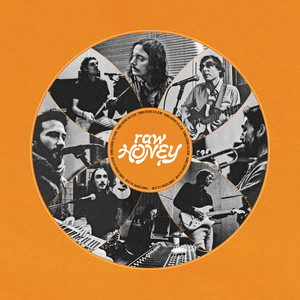 Raw Honey cover