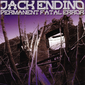 Permanent Fatal Error cover