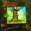 El Árbol de Mi Destino (Folclórica) cover