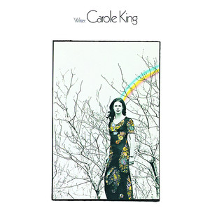 Writer cover