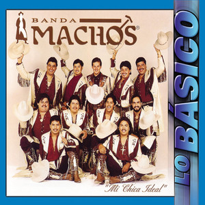 Mi Chica Ideal album
