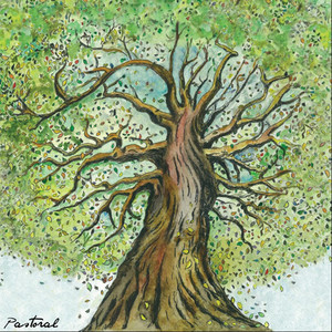 Pastoral cover