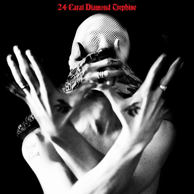 24 Carat Diamond Trephine cover