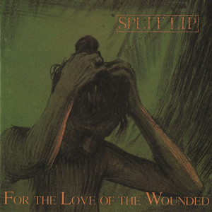For the Love of the Wounded cover