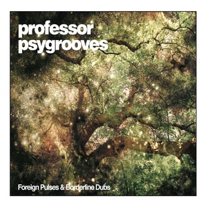 Professor Psygrooves