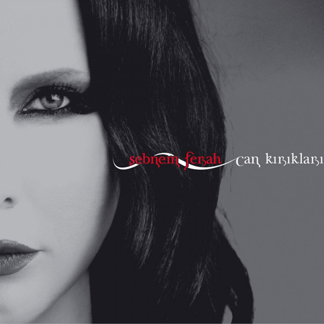 Can Kırıkları cover