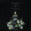 El Radio cover