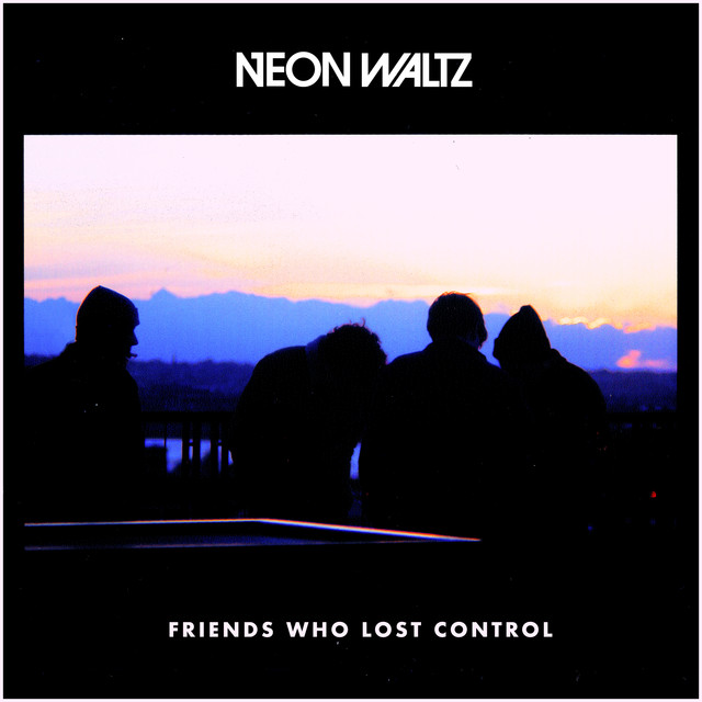 Friends Who Lost Control cover
