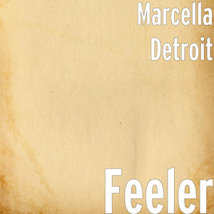 Feeler cover