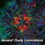 Natural Study Environment cover