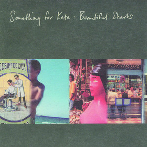 Beautiful Sharks album