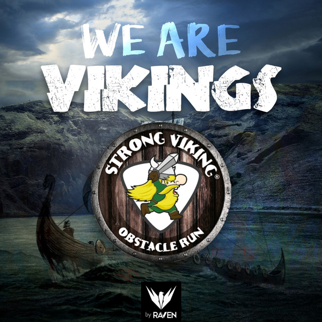 We Are Vikings (Strong Viking Anthem 2017) cover