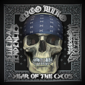 Year of the Cycos cover