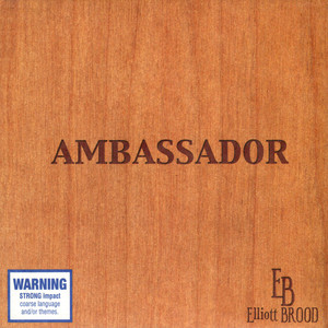 Ambassador cover