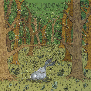 The Rabbit cover