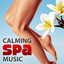 Calming Spa Music: 30 Tracks Relaxing Music, Relaxation, Yoga, Massage & Welness, Soothing Music cover