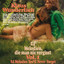 Die Man Nie Vergißt Vol.1 cover