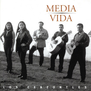 Media Vida cover